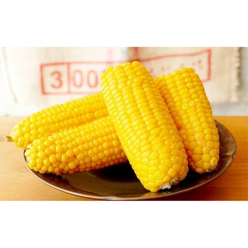 2026年夏発送 ★数量50限定品★ 北海道のとうもろこし「ゴールドラッシュ」 10本セット  (岸田農園産)｜とうもろこし