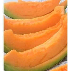 特大サイズ【2026年夏発送】岸田農園産北海道メロン2玉入り(サイズ:1玉2.5kg以上)【213】【1311818】