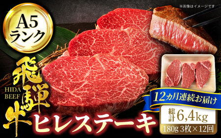 【12回定期便】＜A5ランク＞飛騨牛ヒレステーキ180g×3枚 計540g 総計6.48kg【有限会社マルゴー】 飛騨牛 和牛 黒毛和牛 牛肉 肉 ブランド牛 銘柄牛 ヒレ ステーキ ヒレステーキ A5 A5ランク A5等級 国産 国産牛 岐阜県産 送料無料 定期便 [MBE045]