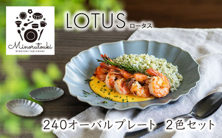 美濃焼】LOTUS(ロータス) 240オーバルプレート 2組セット（1形状×2色