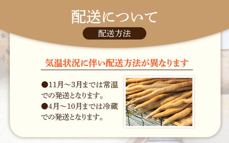 自然薯（昇龍）1300g相当【小川農園小川屋】疲労回復 免疫力向上 産地直送 とろろ 山芋 健康食 じねんじょ ギフト 滋養強壮 贈答 レシピ とろろご飯 山薬 山のうなぎ 送料無料[MAE012]