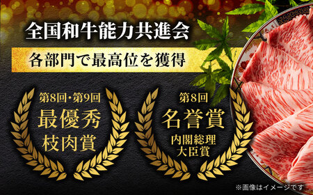 飛騨牛 しゃぶしゃぶ用 600g（300g×2）【マルゴー】和牛 A5等級 すき焼き ギフト [MBE066]