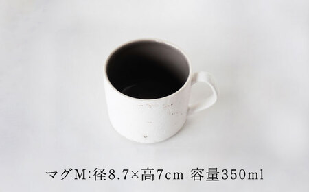 【美濃焼】SHIKKUI マグM/プレートセット 2セット 色が選べる【marushin-pottery 丸新製陶】[MAM104]