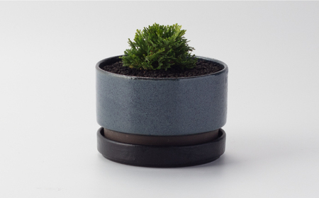 【美濃焼】プラネットプランター 海王星 (中) 1セット【竜山窯】植物 植木 陶器 [MFR013]