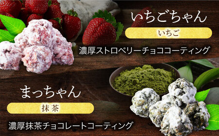 5つの味わい、ひと箱で贅沢食べ比べ！ チョコレート 5種セット 【菓子工房オアシス】 チョコ ギフト アーモンド[MGF006]