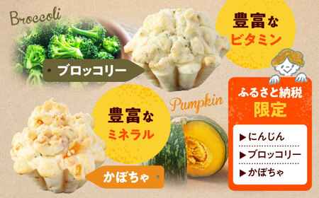 わんちゃん用パン 限定 全4種 計12個  犬用 おやつ ペット ご褒美 [MGU005]