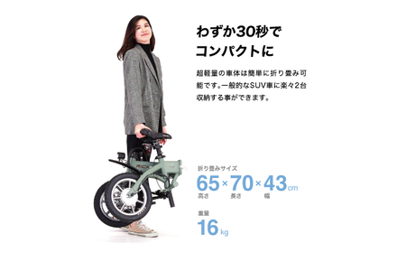 【免許不要】特定小型原付 RICHBIT CITY レンジャーグリーン 【Acalie】 コンパクト 電動バイク 折りたたみ[MGS005-4]