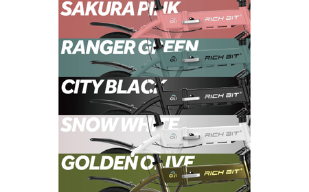 電動アシスト自転車 RICHBIT CITY ASSIST シティブラック 【Acalie】 コンパクト 折りたたみ[MGS006-1]