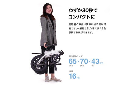 電動アシスト自転車 RICHBIT CITY ASSIST ゴールデンオリーブ 【Acalie】 コンパクト 折りたたみ[MGS006-5]