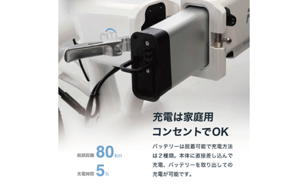 電動アシスト自転車 RICHBIT CITY ASSIST ゴールデンオリーブ 【Acalie】 コンパクト 折りたたみ[MGS006-5]