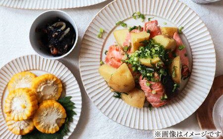 【美濃焼】華蝶扇 マットホワイト プレート ペアセット 計4点 【TOKI MINOYAKI／見谷陶器】食器 皿 ディナープレート[MEE111]