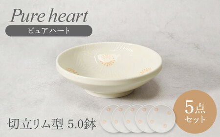 【美濃焼】ピュアハート 切立リム型 5.0鉢 5点セット【カネ定製陶】[MEI218]