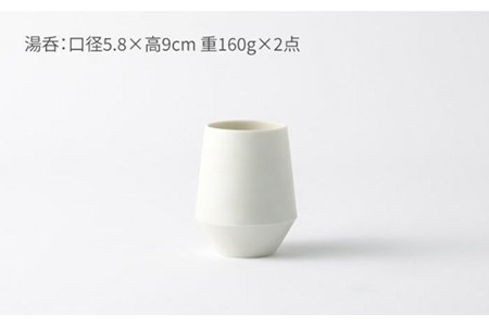 【美濃焼】frustum 土瓶湯呑3点セット（白）【晋山窯ヤマツ】【TOKI MINOYAKI返礼品】≪土岐市≫ 茶器 茶器セット 急須 ポット ティーポット 湯?み 湯? ゆのみ ユノミ コップ ペア 陶器 シンプル セット 茶 送料無料  [MAS005]