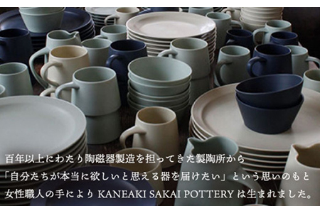 【美濃焼】flat 5plate 5プレート3枚セット（ペールブルー3枚）【KANEAKI SAKAI POTTERY】【TOKI MINOYAKI返礼品】食器 皿 シンプル 器 うつわ プレート お皿 丸皿 中皿 取り皿 パン皿 ケーキ皿 焼き物 大人 シック マット ブルー ペールブルー 水色 青 金秋酒井 送料無料  [MBC017]