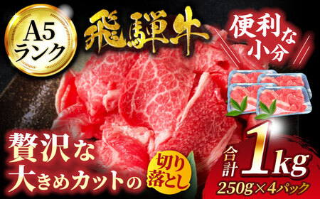 飛騨牛 A5ランク 切り落とし 1kg(250g×4) 【有限会社マルゴー】  土岐市 岐阜産 肉 牛肉 国産 和牛 牛肉 A5等級 霜降り 大容量 すき焼き しゃぶしゃぶ 牛丼 カレー ビーフシチュー バラ こま 小分け BBQ 冷凍 保存 おすそ分け 高級 贅沢 贈り物 プレゼント 送料無料  [MBE003]