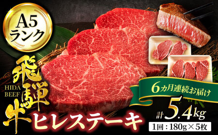 【6回定期便】飛騨牛 ヒレステーキ 180g×5枚【有限会社マルゴー】土岐市 岐阜産 肉 お肉 牛肉 国産 和牛 牛肉 A5等級 霜降り レア レアステーキ 鉄板焼き BBQ バーベキュー フィレ ヘレ 冷凍 保存 高級 贅沢 贈り物 プレゼント 5kg 送料無料 [MBE013]