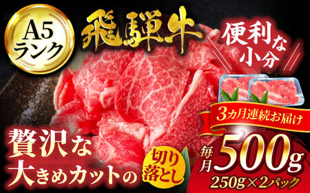 【3回定期便】色んな料理に使いやすい！ 飛騨牛 切り落とし 500g【有限会社マルゴー】 土岐市 岐阜産 肉 牛肉 国産 和牛 牛肉 A5等級 霜降り すき焼き しゃぶしゃぶ 牛丼 カレー ビーフシチュー バラ こま 小分け BBQ 冷凍 保存 小分け おすそ分け 高級 贅沢 贈り物 プレゼント   [MBE029]