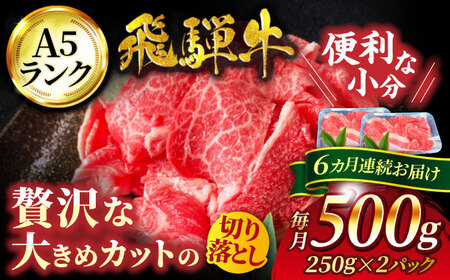 【6回定期便】色んな料理に使いやすい！ 飛騨牛 切り落とし 500g【有限会社マルゴー】 土岐市 岐阜産 肉 牛肉 国産 和牛 牛肉 A5等級 霜降り すき焼き しゃぶしゃぶ 牛丼 カレー ビーフシチュー バラ こま 小分け BBQ 冷凍 保存 おすそ分け 高級 贅沢 贈り物 プレゼント [MBE030]