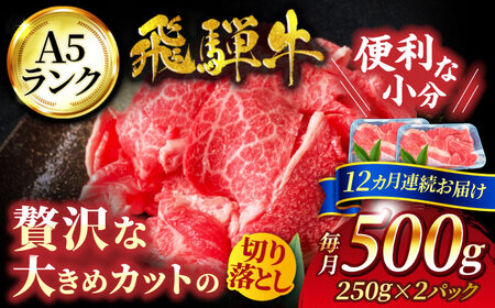 【12回定期便】色んな料理に使いやすい！ 飛騨牛 切り落とし 500g【有限会社マルゴー】 土岐市 岐阜産 肉 牛肉 国産 和牛 牛肉 A5等級 霜降り すき焼き しゃぶしゃぶ 牛丼 カレー ビーフシチュー バラ こま 小分け BBQ 冷凍 保存 おすそ分け 高級 贅沢 贈り物 プレゼント [MBE031]