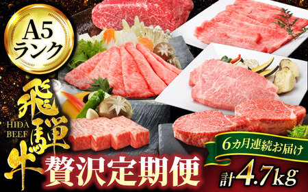 【6回定期便】飛騨牛 贅沢定期便コース【マルゴー】和牛 サーロインステーキ 焼肉[MBE037]