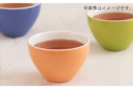 【美濃焼】ティーギフトセットA キウイ【ZERO JAPAN】【TOKI MINOYAKI返礼品】 食器 うつわ 茶器 ティーポット 湯呑み シンプル かわいい おしゃれ 贈り物  紅茶ポット 緑茶 ハーブティー おうちカフェ ナチュラル  緑 グリーン 送料無料 [MBR008]