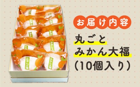 ＜ジューシーでモチモチ＞丸ごとみかん大福（10個入り）【虎渓渡辺製菓】 和菓子 大福 餅 みかん 丸ごと まるごと 白あん おやつ スイーツ デザート おもてなし もちもち 冷凍 贈り物 ギフト 贈答 送料無料 [MCM006]