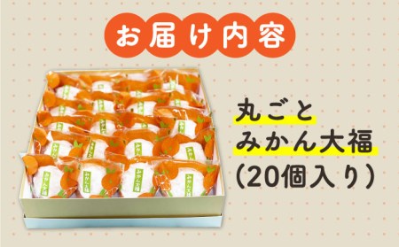 ＜ジューシーでモチモチ＞丸ごとみかん大福（20個入り）【虎渓渡辺製菓】和菓子 大福 餅 みかん 丸ごと まるごと 白あん おやつ スイーツ デザート おもてなし もちもち 冷凍 贈り物 ギフト 贈答 送料無料 [MCM008]