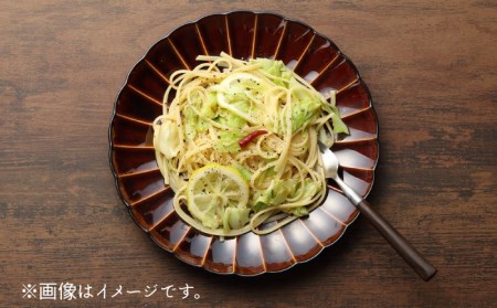 【美濃焼】ぎやまん陶 おすすめ食器 3点セット 漆ブラウン【カネコ小兵製陶所】【TOKI MINOYAKI返礼品】食器セット プレート ボウル 小鉢 パスタ皿 ケーキ皿 取り皿 副菜鉢 メインディッシュ ランチ ディナー ブラウン 茶 おしゃれ 一式 一人暮らし 新生活 ギフト プレゼント 贈り物 送料無料 [MBD128]