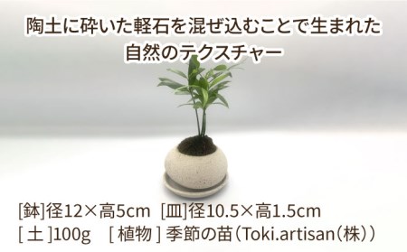 【美濃焼】magma ishi pot WHITE ＋ オリジナル magma pot 作製体験【芳泉窯】植木鉢 陶器鉢 おしゃれ bowl サボテン 頑丈 塊根植物 多肉植物 作陶 手びねり 作成 体験 白 ホワイト 送料無料[MBQ025]