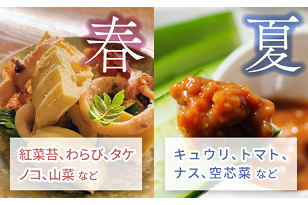 季節の野菜BOX  Sサイズ  （5〜6種類）【Farm Regalo】旬野菜 冷蔵 おまかせ 詰め合わせ セット 料理 春野菜 夏野菜 秋野菜 冬野菜 葉野菜 根菜 ハーブ ヘルシー 健康 新鮮 おいしい 美味しい アレルギー対応 送料無料 [MDU001]