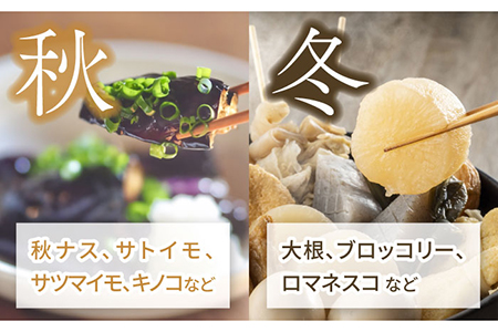 季節の野菜BOX  Sサイズ  （5〜6種類）【Farm Regalo】旬野菜 冷蔵 おまかせ 詰め合わせ セット 料理 春野菜 夏野菜 秋野菜 冬野菜 葉野菜 根菜 ハーブ ヘルシー 健康 新鮮 おいしい 美味しい アレルギー対応 送料無料 [MDU001]