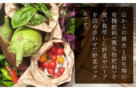 季節の野菜BOX  Sサイズ  （5〜6種類）【Farm Regalo】旬野菜 冷蔵 おまかせ 詰め合わせ セット 料理 春野菜 夏野菜 秋野菜 冬野菜 葉野菜 根菜 ハーブ ヘルシー 健康 新鮮 おいしい 美味しい アレルギー対応 送料無料 [MDU001]