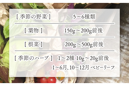 季節の野菜BOX  Sサイズ  （5〜6種類）【Farm Regalo】旬野菜 冷蔵 おまかせ 詰め合わせ セット 料理 春野菜 夏野菜 秋野菜 冬野菜 葉野菜 根菜 ハーブ ヘルシー 健康 新鮮 おいしい 美味しい アレルギー対応 送料無料 [MDU001]