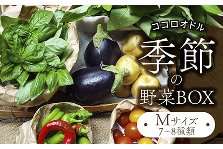 季節の野菜BOX  Mサイズ （7〜8種類）【Farm Regalo】旬野菜 冷蔵 おまかせ 詰め合わせ セット 料理 春野菜 夏野菜 秋野菜 冬野菜 葉野菜 根菜 ハーブ ヘルシー 健康 新鮮 おいしい 美味しい アレルギー対応 送料無料 [MDU002]