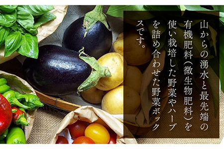 季節の野菜BOX  Mサイズ （7〜8種類）【Farm Regalo】旬野菜 冷蔵 おまかせ 詰め合わせ セット 料理 春野菜 夏野菜 秋野菜 冬野菜 葉野菜 根菜 ハーブ ヘルシー 健康 新鮮 おいしい 美味しい アレルギー対応 送料無料 [MDU002]