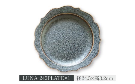 【美濃焼】LUNA プレート・ボウル 3形状  計3点セット【ヤマ吾陶器】食器 皿 鉢 パスタ皿 カレー皿 サラダボウル ワンプレート メインディッシュ ランチ ディナー 上品 高級感 おしゃれ レンジ対応 食洗機対応 送料無料 [MCE008]