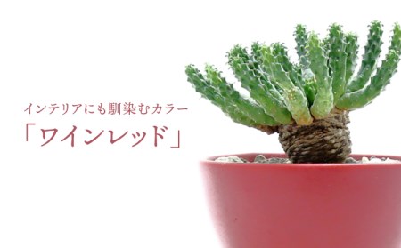 【美濃焼】ワインレッド Plant Hunter Pot【RYOTA AOKI POTTERY/青木良太】/ 陶芸家 プランター インテリア 雑貨 植木鉢 レッド 赤 芸術 美術品 高級感 おしゃれ 送料無料 [MCH289]