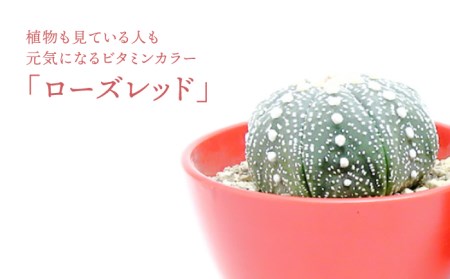 【美濃焼】ローズレッド Plant Hunter Pot【RYOTA AOKI POTTERY/青木良太】/ 陶芸家 プランター インテリア 雑貨 植木鉢 レッド 赤 芸術 美術品 高級感 おしゃれ 送料無料 [MCH290]
