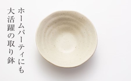 【美濃焼】石目 取皿 取鉢 10点 伊賀（白）【山銀深萱商店】食器 プレート ボウル ケーキ皿 副菜鉢 サラダボウル デザートボウル 家族 おもてなし パーティ 美濃焼 日本製 レンジ対応 食洗機対応 送料無料 [MEZ004]