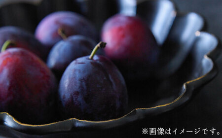 【美濃焼】リンカ 金環黒練 ボウル L【カネコ小兵製陶所】食器 鉢 盛り皿 サラダボウル パーティー おもてなし ブラック おしゃれ [MBD181]