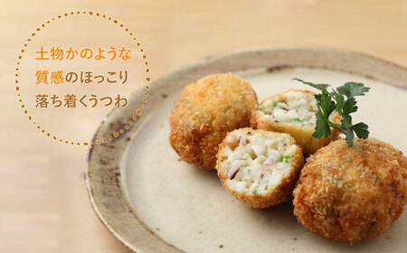 【美濃焼】土ものマット 丸々 大皿 ペアセット (シロン・チャロン)【カネコ小兵製陶所】食器 パスタ皿 ワンプレート ランチ ディナー ギフト プレゼント シンプル おしゃれ [MBD200]