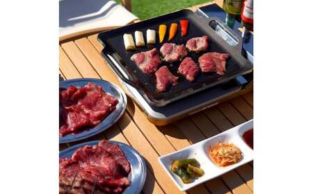 852 IW90-05 ZEOOR カセットコンロ専用 極厚鉄板 板厚9mm