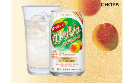 622 CHOYA酔わないウメッシュ缶 350ML24本