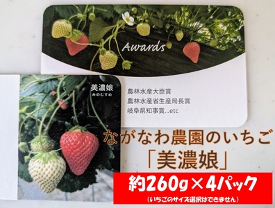 99 （予約）ながなわ農園のいちご「美濃娘」約260g×4パック