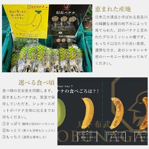 1041 天下布武信長バナナ　約1kg　サイズお任せ　国産　糖度25度前後　無農薬　無添加