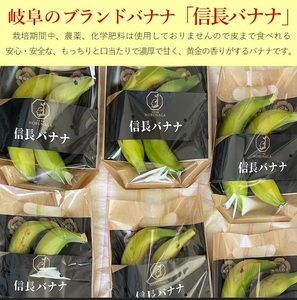 1041 天下布武信長バナナ　約1kg　サイズお任せ　国産　糖度25度前後　無農薬　無添加