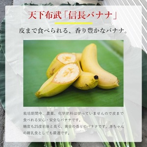 1041 天下布武信長バナナ　約1kg　サイズお任せ　国産　糖度25度前後　無農薬　無添加