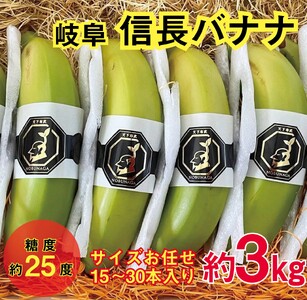 1043 天下布武信長バナナ　約3kg　サイズお任せ　国産　糖度25度前後　無農薬　無添加