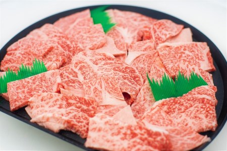 9 特撰飛騨牛Ａ５等級 肩ロース・赤身 焼肉用900g | 岐阜県各務原市