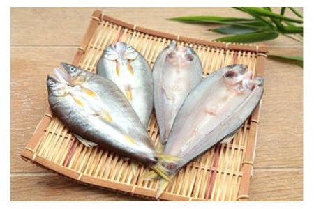 72 【皇室献上御料場近郊】川漁師の天然鮎一夜干し